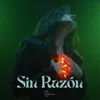 About Sin Razón Song