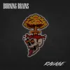 About Burning Brains Song
