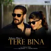 About Tere Bina Song