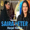 About Wanjali Walarya Song