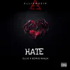 About Hate Song