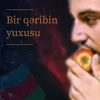 Bir qəribin yuxusu