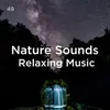 Binaural Beats Water