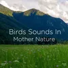 Relaxing Music With Bird Sounds