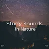 River Sounds &amp; Nature