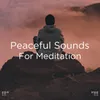 Meditation Ocean Music