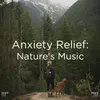 About Nature Sounds &amp; White Noise Song