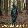 About Nefoedd yr Adar Song