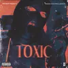 About Toxic Song