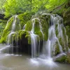 Détendez-Vous Au Bord De La Rivière