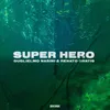 About Super Hero Extended Mix Song