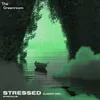 Stressed (Light Up) Extended Mix