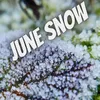 June snow