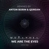We Are the Eyes QDream Remix