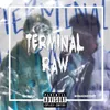 About Terminal raw Song