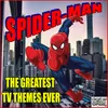About Spider-Man Song