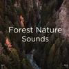 Zen Nature Sounds