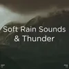 Zen Sounds Of Rain