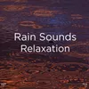 Rain Sounds For Studying