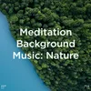 About Nature Sounds For Relaxation Song