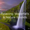 Nature Sounds &amp; White Noise