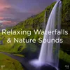 Nature Sounds With Music
