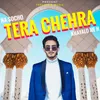 Tera Chehra