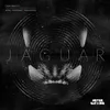 About Jaguar Song