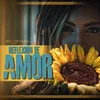 About Reflexión de Amor Song