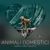 Animali domestici amore e cura