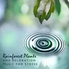 Rain Sounds (New Age Music)