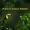 Jungle Soundscape