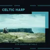 Relaxing Irish Flute