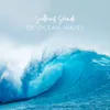 Ocean Sounds