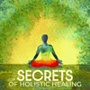 Secrets of Holistic Healing