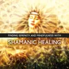 Shamanic Consciousness