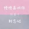 About 慢慢喜欢你到忘记 Song
