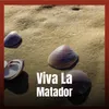 About Viva La Matador Song