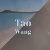 Tao Wang