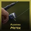 Pleasing Meter