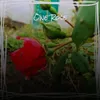 One Rose