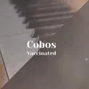 Cobos Approximation