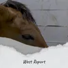 West Report