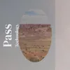 Pass Technology