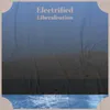 Electrified Liberalisation