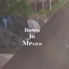 Down In Mexico