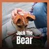 Jack The Bear