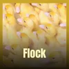 About Flock Song