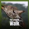 The Longest Walk