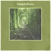 Tunnel of Love